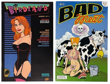 Erotic Adult Comic Book Collection