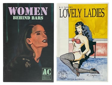 Erotic Adult Comic Book Collection