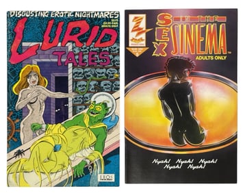 Erotic Adult Comic Book Collection