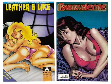 Erotic Adult Comic Book Collection