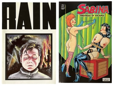 Erotic Adult Comic Book Collection