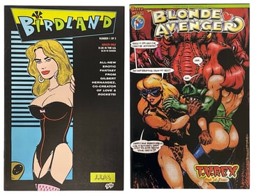 Erotic Adult Comic Book Collection