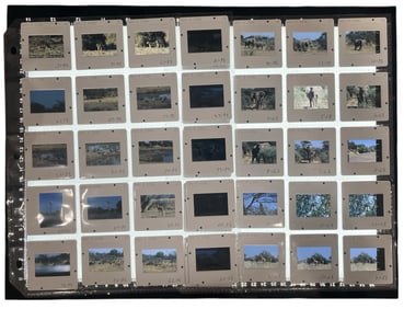Photo Slide Collection