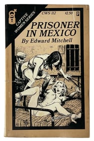 Erotic Adult Novel
