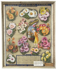 South African Flora | Framed 1935 Calendar