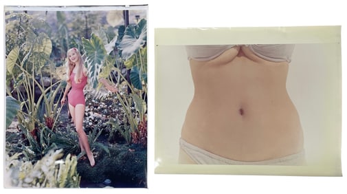 Adult Poster Collection