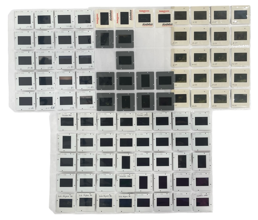 Photo Slide Collection: Photo Slide Collection