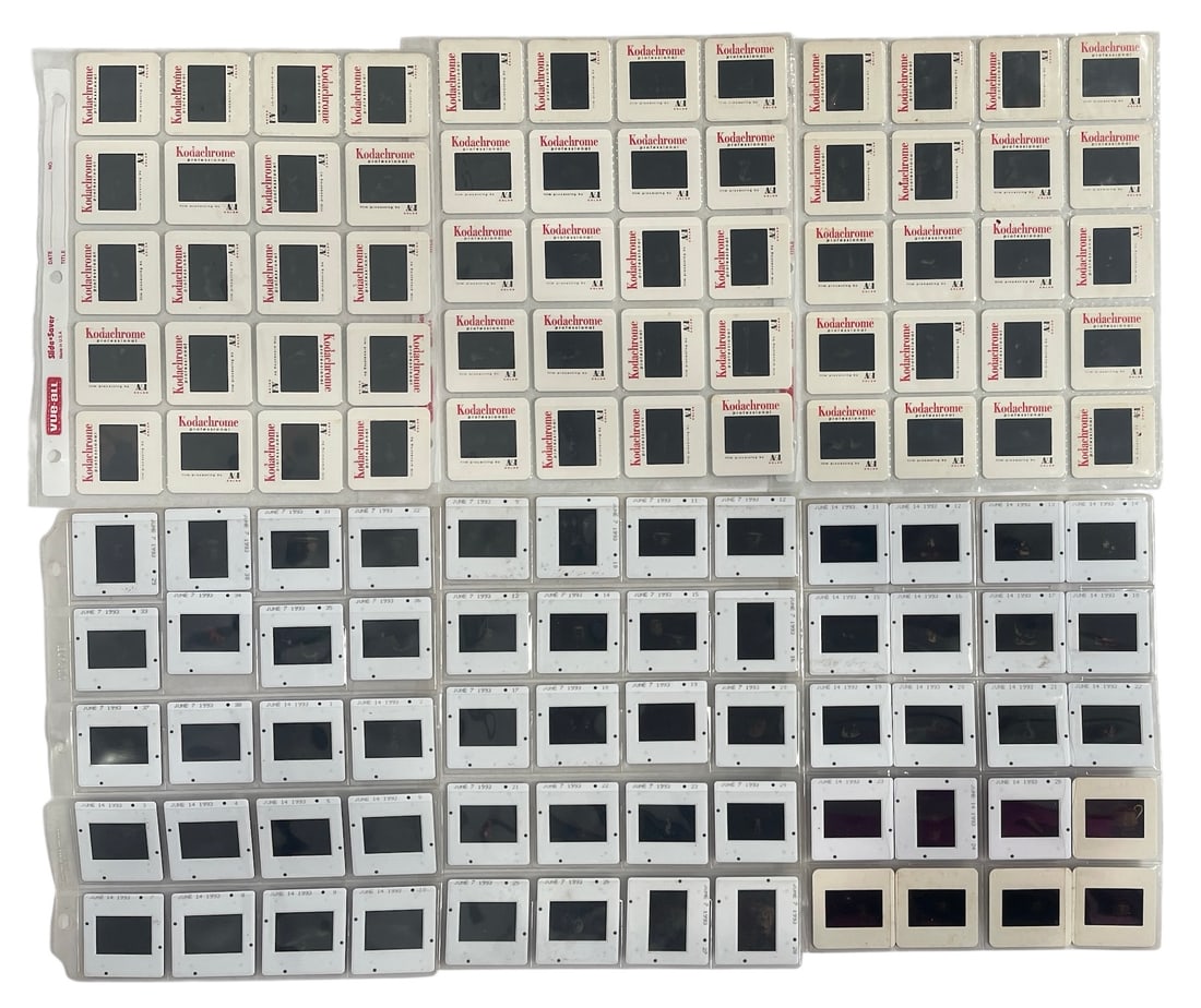 Photo Slide Collection: Photo Slide Collection