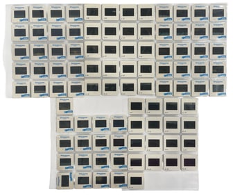 Photo Slide Collection