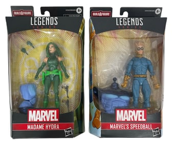 Marvel Legends Series | Madame Hydra and Marvels Speedball | Action Figures