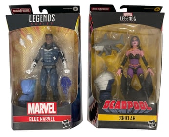 Marvel Legends Series | Blue Marvel and Shiklah | Action Figures