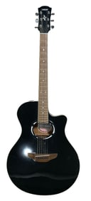 Yamaha | APX 500 II | Performance Electric Acoustics