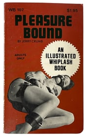 Erotic Adult Novel