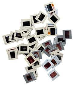 Vintage Photo Slide Collection