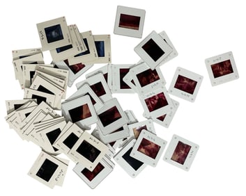 Vintage Photo Slide Collection