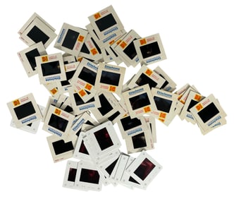 Vintage Photo Slide Collection