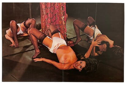 Erotic Adult Centerfold Poster