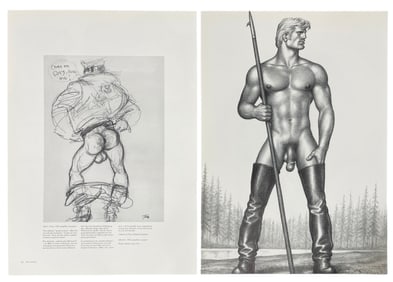 Erotic Adult Book Page Collection