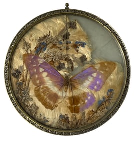 Vintage Iridescent Butterfly Wing Trinket Dish