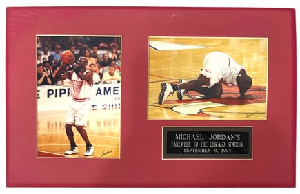 Michael Jordan Photos