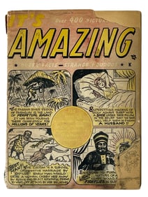 Its Amazing | Comic Book