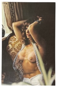 Vintage Erotic Adult 1970 Penthouse International Poster