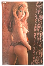 Vintage Erotic Adult 1970 Penthouse International Poster