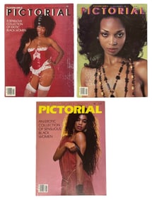 Vintage Pictorial Erotic Adult Magazine Collection