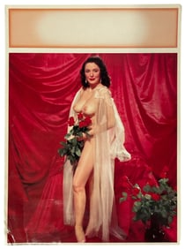 Vintage Adult Poster