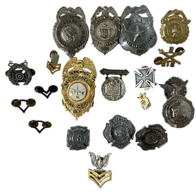Badge and Pin Collection