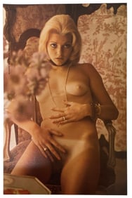 Vintage Erotic Adult 1970 Penthouse International Poster
