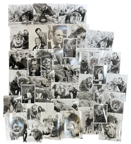 Vintage Photo Collection