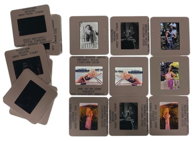 Adult Photo Silde Collection | 20 pc.