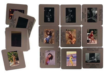 Adult Photo Silde Collection | 20 pc.