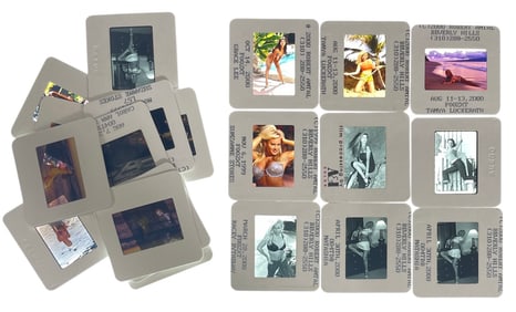 Adult Photo Silde Collection | 20 pc.