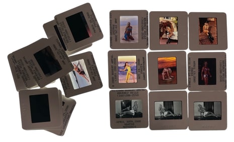 Adult Photo Silde Collection | 20 pc.