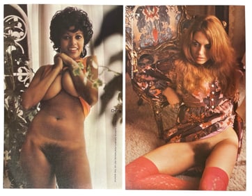 Vintage Erotic Adult 1970 Penthouse International Poster Collection