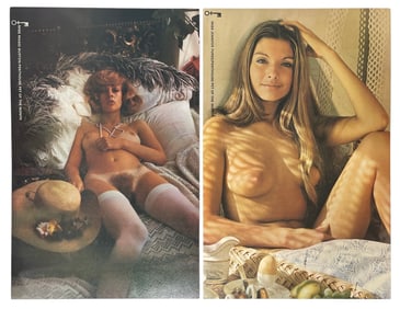 Vintage Erotic Adult 1970 Penthouse International Poster Collection
