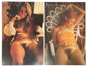 Vintage Erotic Adult 1970 Penthouse International Poster Collection