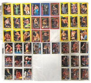 Wrestling Trading Card Collection