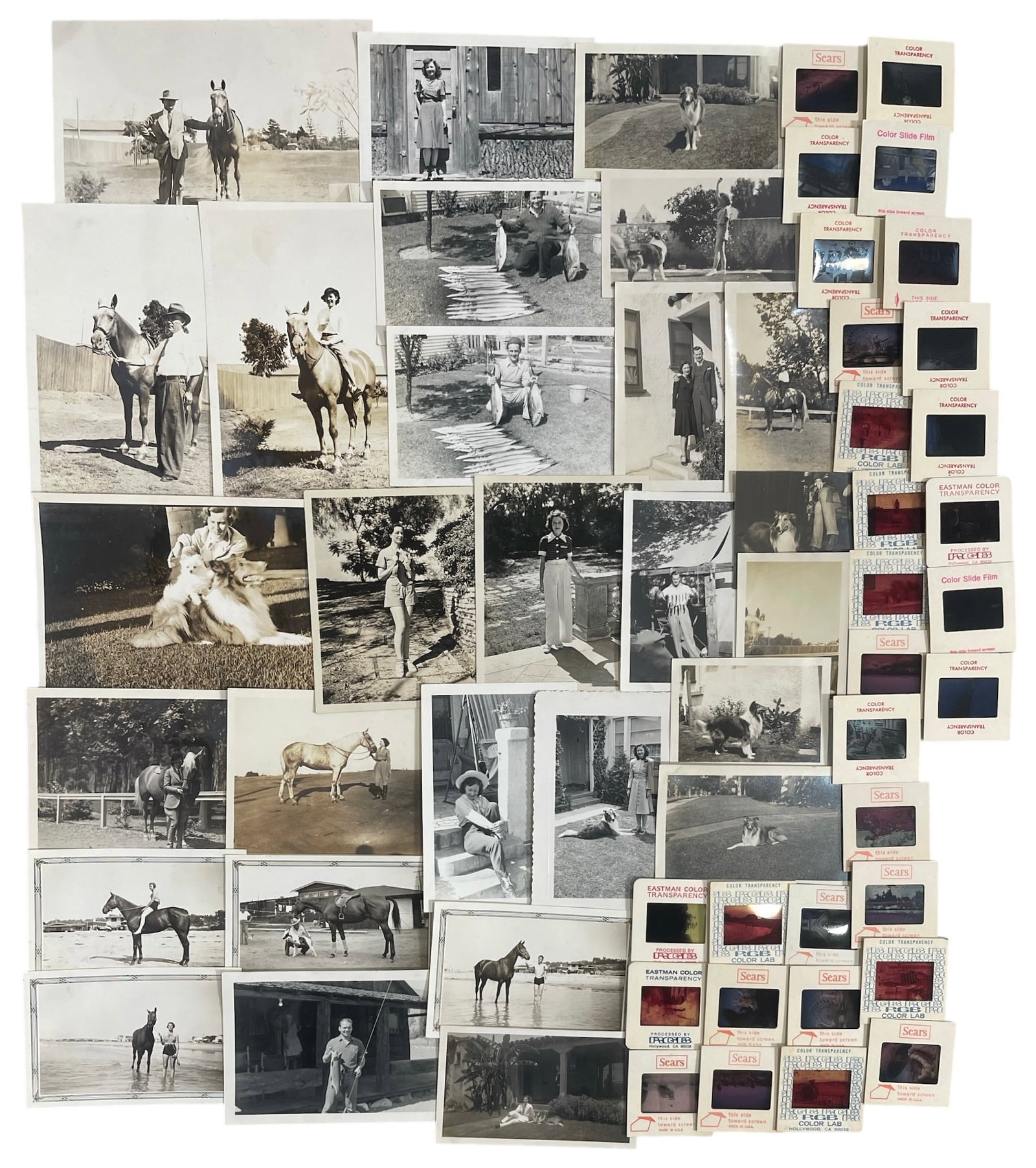 Vintage Photo And Photo Slide Collection: Vintage Photo And Photo Slide Collection