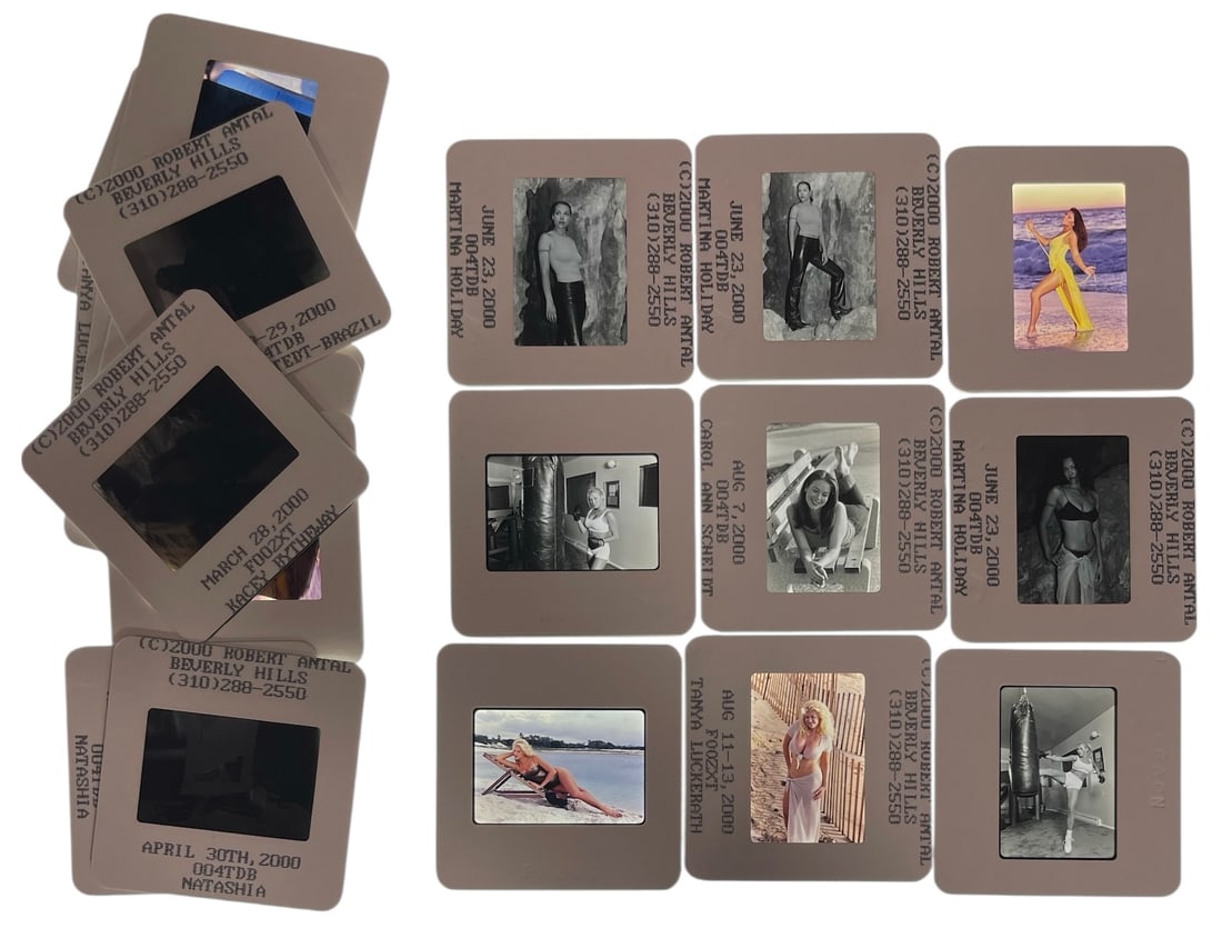 Photo Slide Collection: Photo Slide Collection
