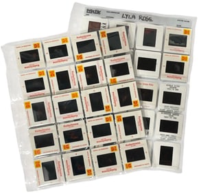 Photo Slide Collection