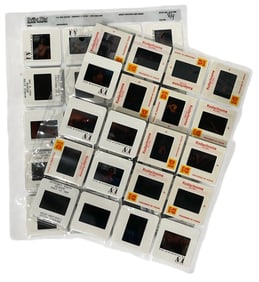 Photo Slide Collection