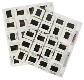 Photo Slide Collection