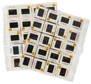 Photo Slide Collection