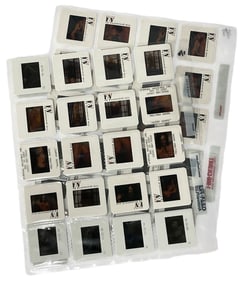 Photo Slide Collection