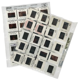 Photo Slide Collection