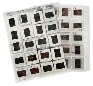 Photo Slide Collection