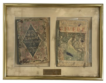 Framed Vintage Book Collection